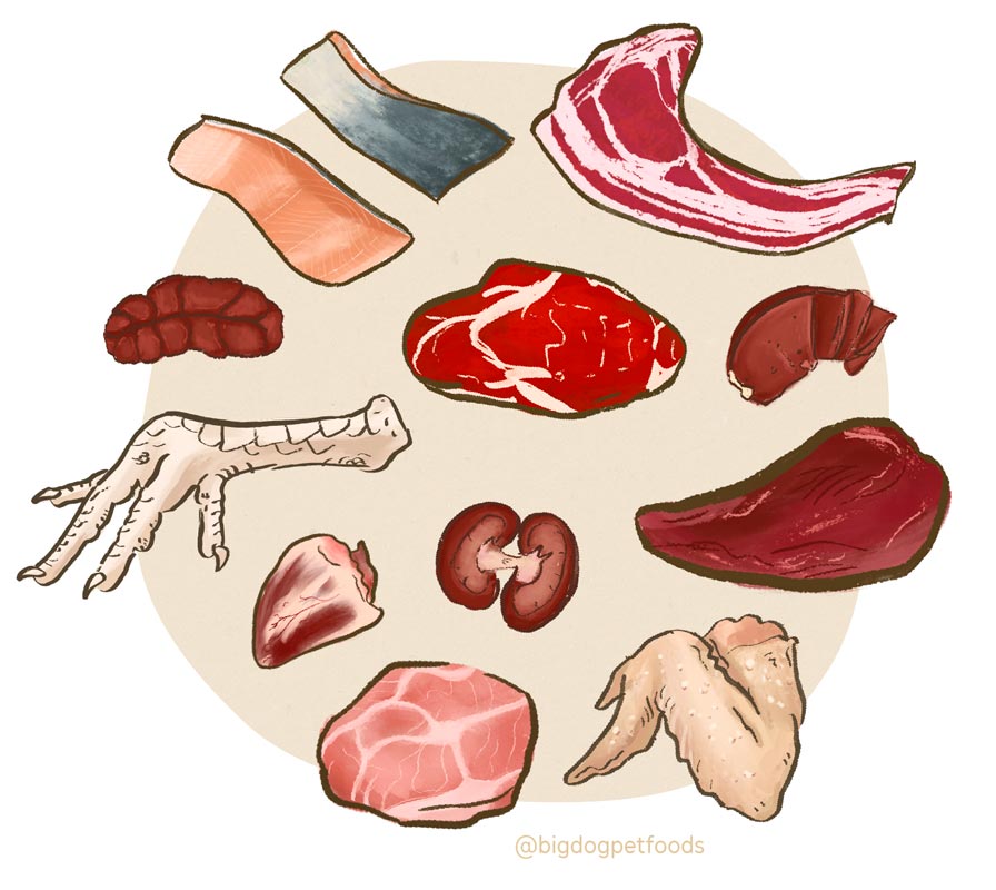 Our Response to the Pet Meat Recall Guides Big Dog Pet Foods